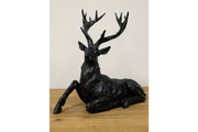 11157_2_.png