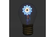 1_1b79420e70_daisy_shape_portable_usb_rechargeable_led_bulb_night_light_festive_decor01.jpg