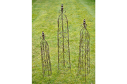 5873(1).png