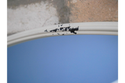 7221_5_c67027ad-f4f5-4efe-9bcd-12000ad3b839.png