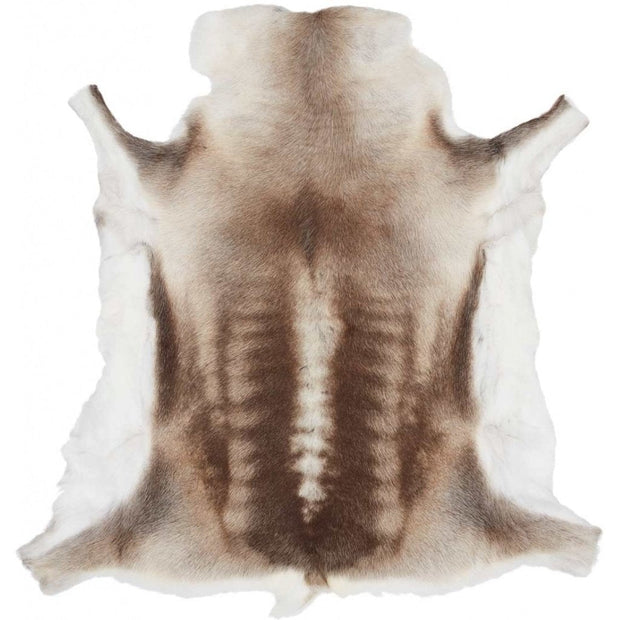 Finnish_Reindeer_Hide_70x110cm_Medium-Reindeer_Hides-NCL1166-Natural-1_1024x_10ac6e2a-ea90-4abe-a1a6-d22a5da1a9df.jpg