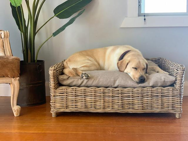 Rattan Dog Bed The Interiors Barn