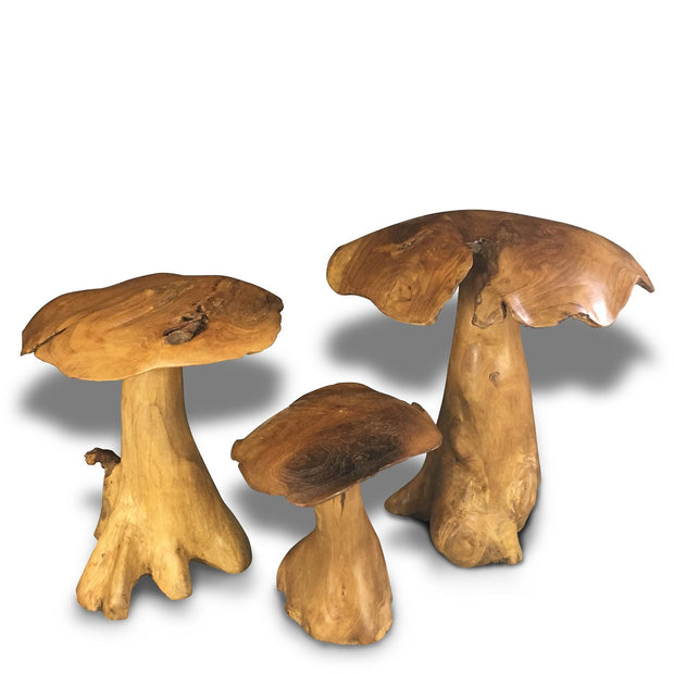 Lge-Mushroom-Set-2_b79f085c-eb54-4e18-a355-1577206013e0.jpg