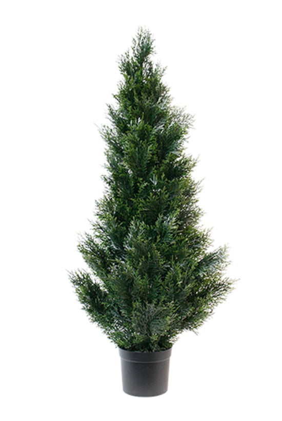 PL_060_1.2small.jpg