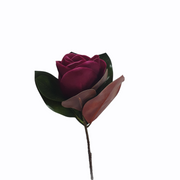 PhotoRoom-20210512_110647_b55c9e6a-4bee-42d6-ac8e-bef7a41e8194.png