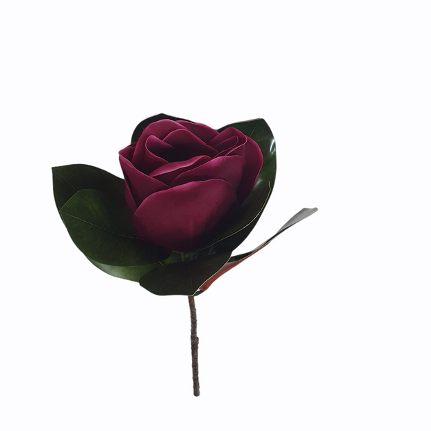 PhotoRoom-20210512_110800_4f9f68e8-fe7f-4d27-83fa-ccf0c7fa7c45.png