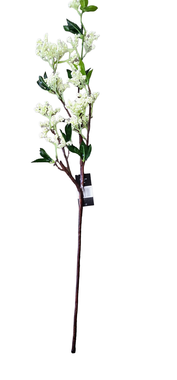 PhotoRoom-20221006_111914_2_9338763d-581b-4c33-b242-ded71ff0f293.png