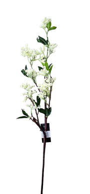 PhotoRoom-20221006_111914_3_62325509-566d-4204-a951-bd5b4e83aa78.png