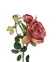 PhotoRoom_20240406_152429.jpg