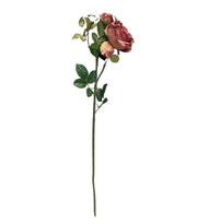PhotoRoom_20240406_152526.jpg