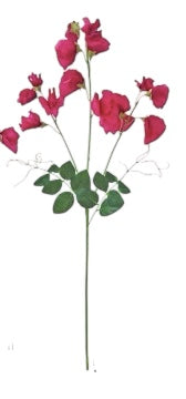 Photoroom_20250216_122626.JPG