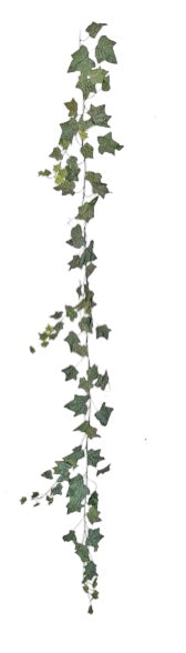 Photoroom_20250216_125944.JPG