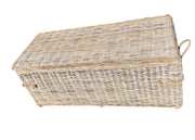 Photoroom_20250811_114920.JPG