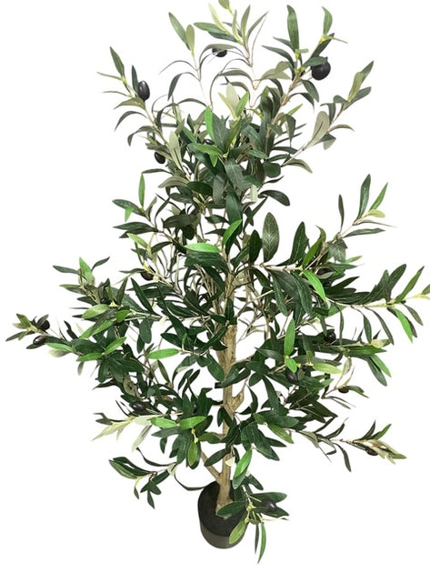 Olive Tree 140cm – The Interiors Barn