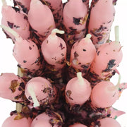 Rose_Candles_Wicks__1_.jpg