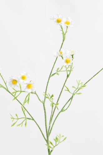 Mini Daisy Spray White - 68cm – The Interiors Barn