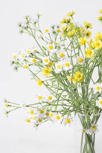 Mini Daisy Spray White - 68cm – The Interiors Barn