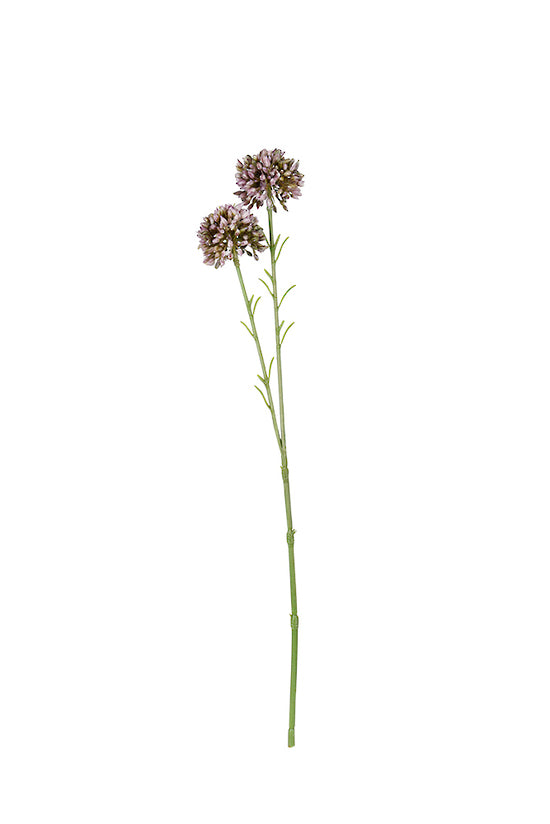 SP_861LV.jpg