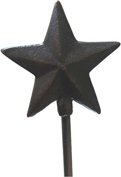 Star_2.jpeg
