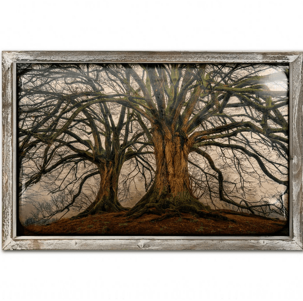 copper-tree-48cm-x-48cm-wood-framed-metal-art-11312-p.png
