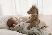 harvey_the_horse_nanahuchy_58428941467938_1000x.jpg