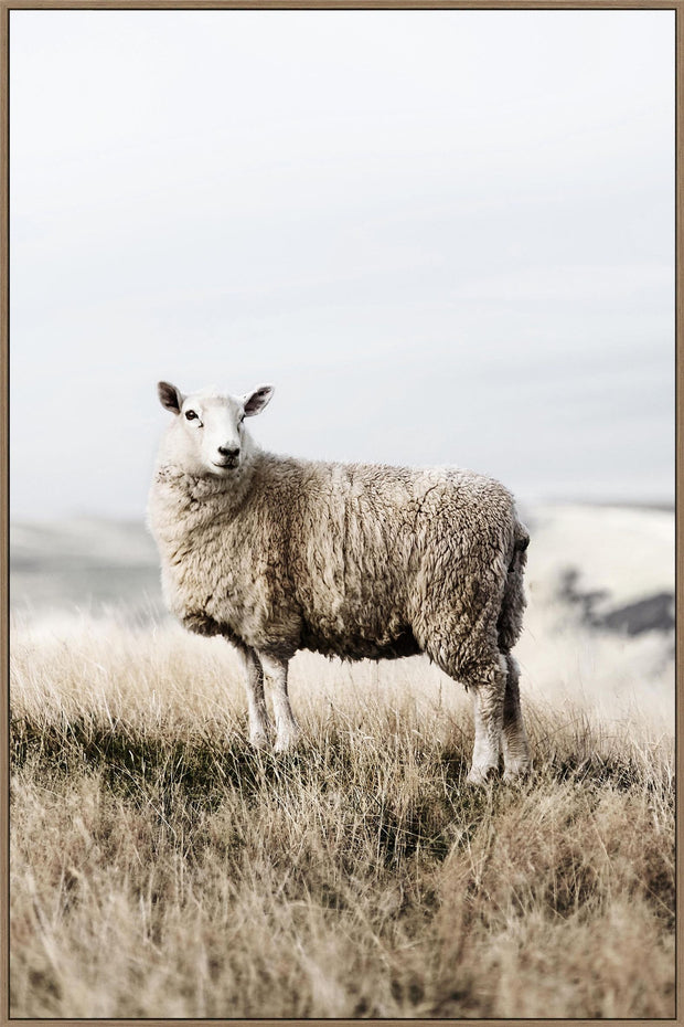 swa660_wooly_80x120cm_canvas_oak_coloured_frame.jpg