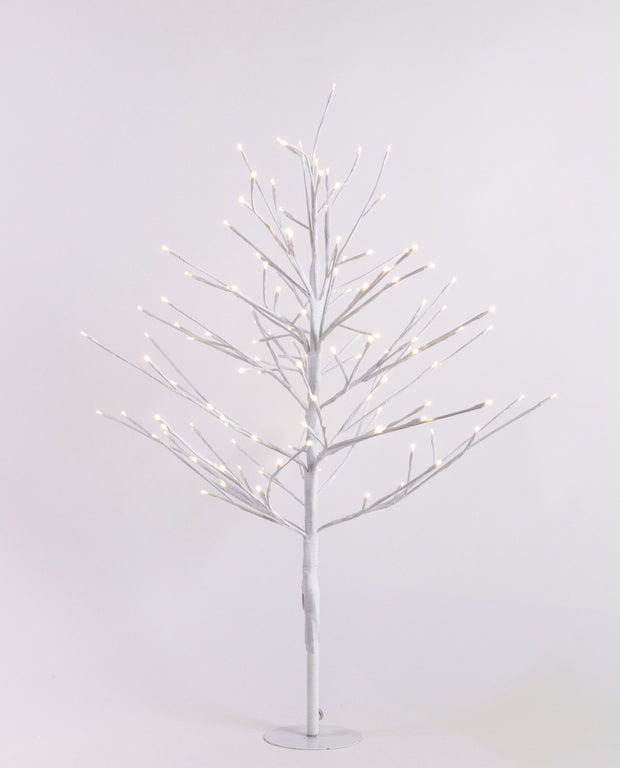 twig_tree_white__58046.jpg
