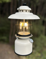 white_forest_lantern_2__76584.jpg