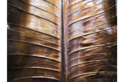 7286_4_.JPG_dac31f10-df08-4618-8d57-d73776728ba1.png