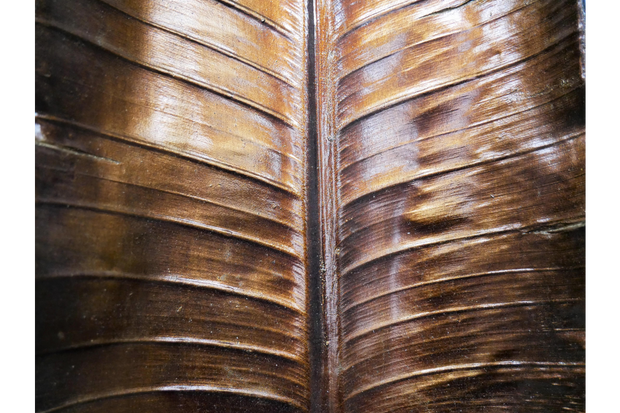 7286_4_.JPG_dac31f10-df08-4618-8d57-d73776728ba1.png