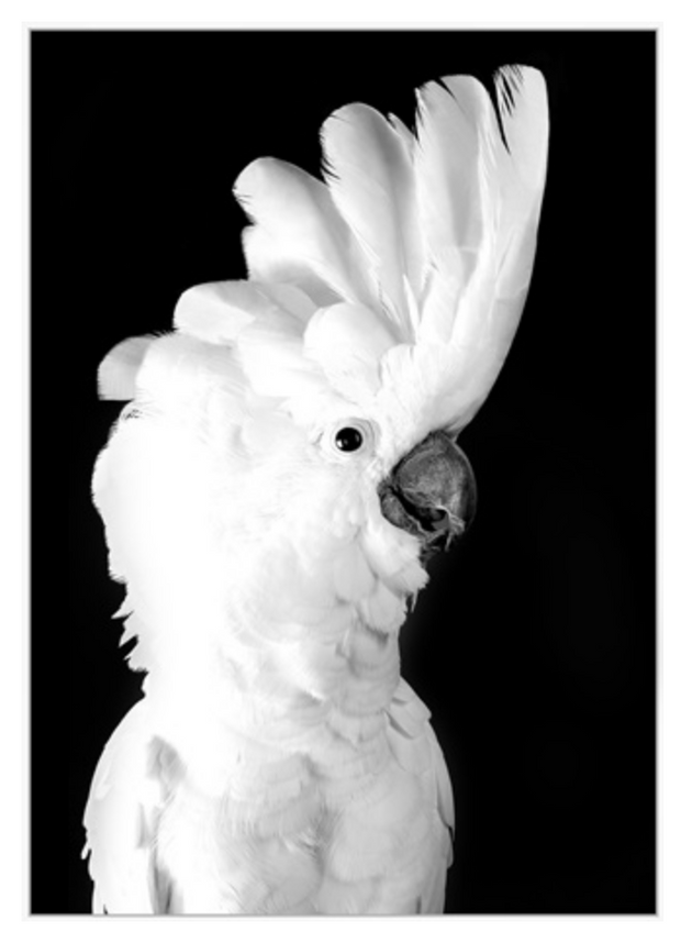 Screen_20Shot_202021-06-17_20at_2012.52.08_20PM_e6268751-2009-48f5-92e1-d67f72ca3b51.png