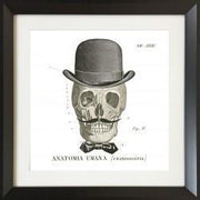 set-of-4-framed-acrylic-skull-wall-art-60cm-x-60cm-4_a1cbda1e-9f3a-457c-a7c0-2d145ad627f9.jpg